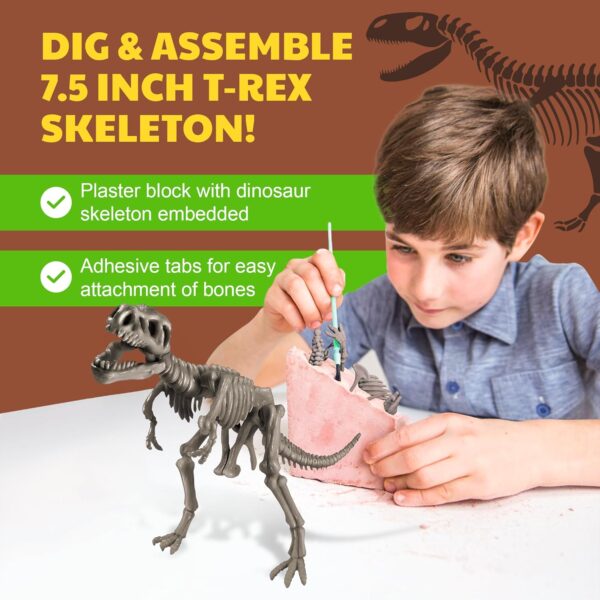 SET DE MANUALIDADES DINOSAURIOS - DINOSAUR WORLD/IL