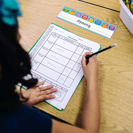 PLACAS CON NOMBRES DE BÚHOS COLORIDOS PARA ESCRITORIO - COLORFUL OWLS NAMEPLATES DESKPLATES - NAMES