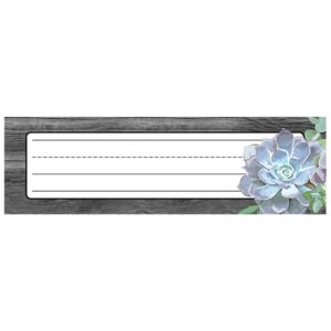 Carson-Dellosa-CD-122041-Simply-Stylish-Succulent-Name-Plates_674a5d11-b931-4ae8-bed2-c25d95364c0d.6e80fc8db90792f5dafbce00938e2166 SUCCULENT DESK NAMEPLATES