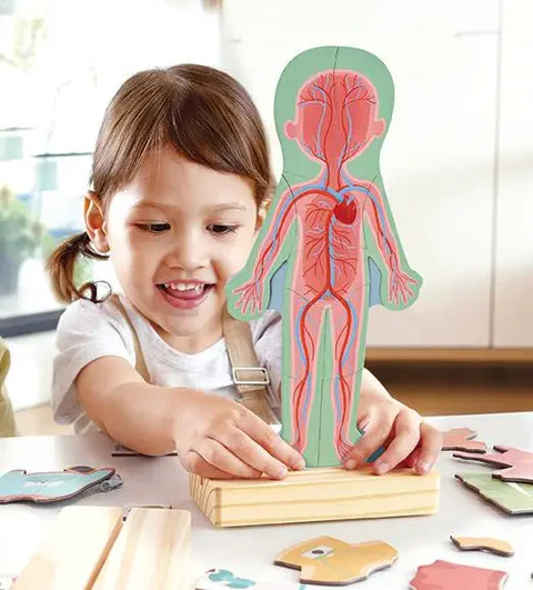 EL CUERPO HUMANO MAGNETICO - HUMAN BODY MAGNETIC PUZZLE