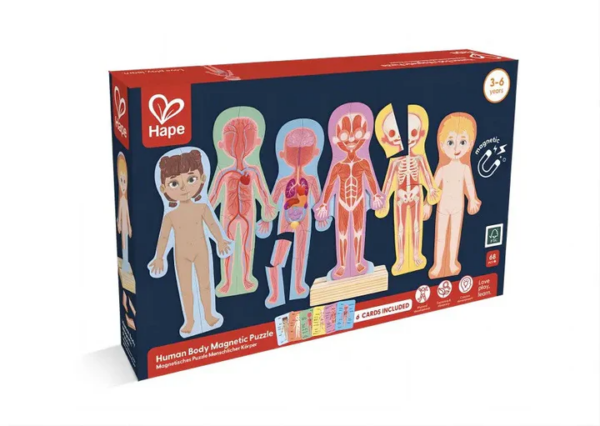 EL CUERPO HUMANO MAGNETICO - HUMAN BODY MAGNETIC PUZZLE