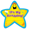 ITS MY BIRTHDAY STAR BADGES