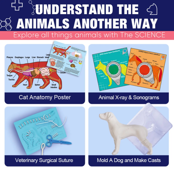 VETERINARIO CIENTIFICO - VETERINARY SICENCE