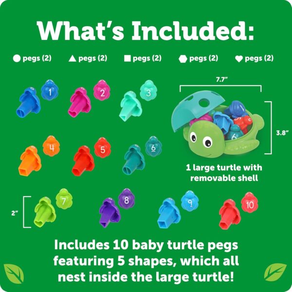 81MhcUGj8nL._AC_SL1500_ TORTUGA DE FIGURAS - COUNTING SHAPES SEA TURTLE