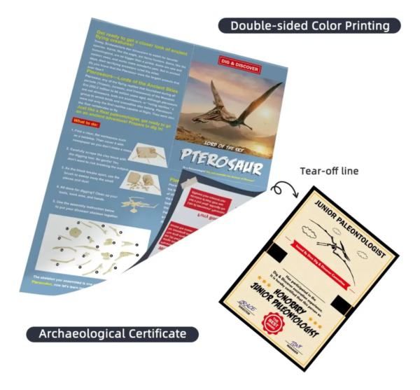 PETROSAURO - LORD OF THE SKY PTEROSAUR