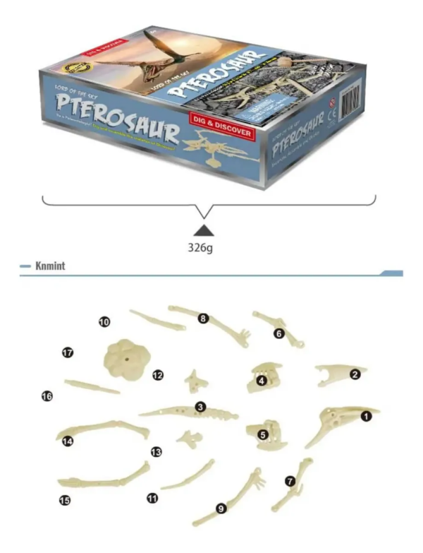 PETROSAURO - LORD OF THE SKY PTEROSAUR