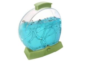 GRANJA DE HORMIGAS CON LUZ - ANT FACTORY