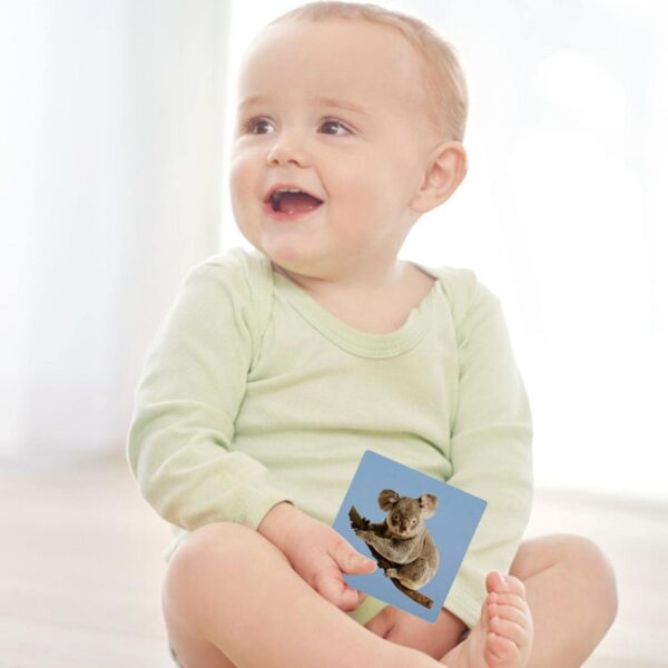 TARJETAS BEBE 12 A 36 MESES - BABY VISION TRIGGER CARDS