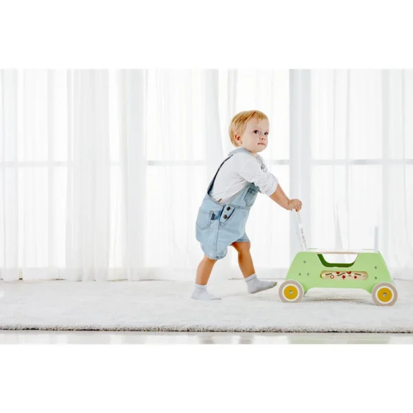CAMINADOR Y CARRITO - 2IN1 RIDER WALKER