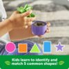 JARDIN DE FIGURAS Y COLORES - SHAPE AND COLOR GARDEN